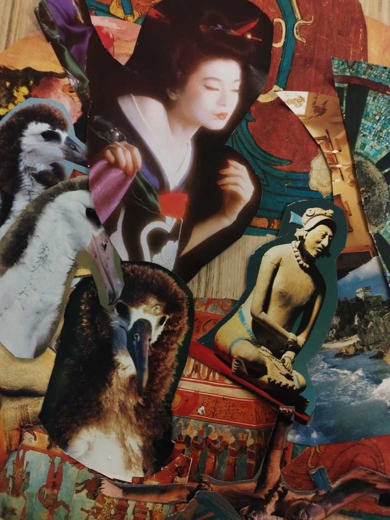 résidence médicalisée SEDNA France